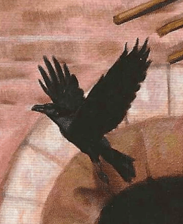 A crow flies away-messenger imagery of the Triple Goddess Tarot