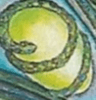 Orphic egg of Akasha imagery on the Thoth Fool 