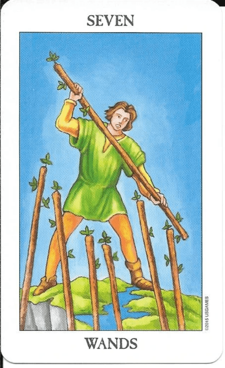 Rider-Waite-Smith 7 of Wands- courage and defense.