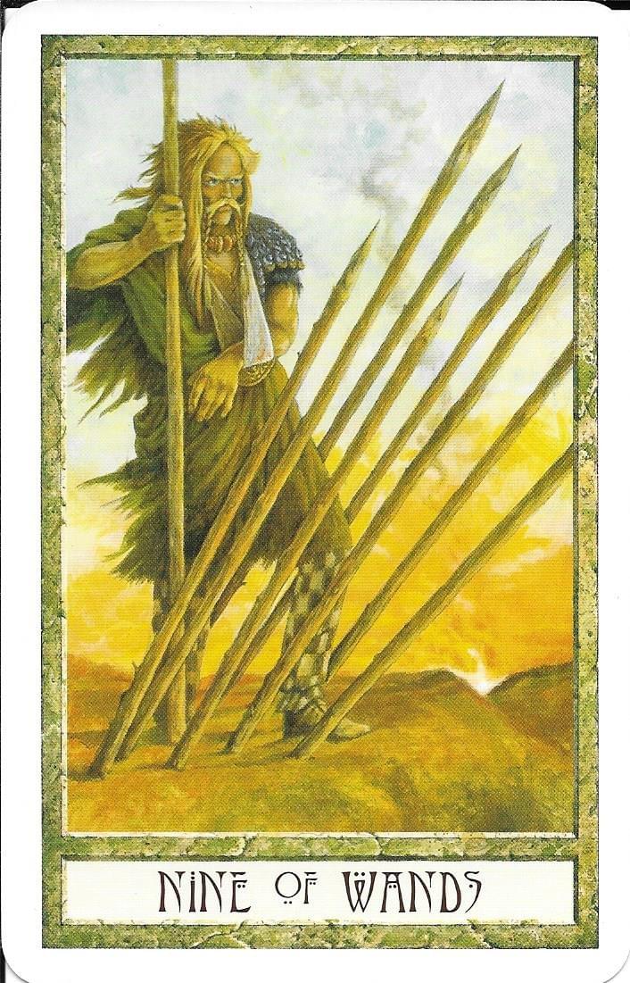 The Tarot Of Eli LLC The Druid Craft Tarot Nine Of W 