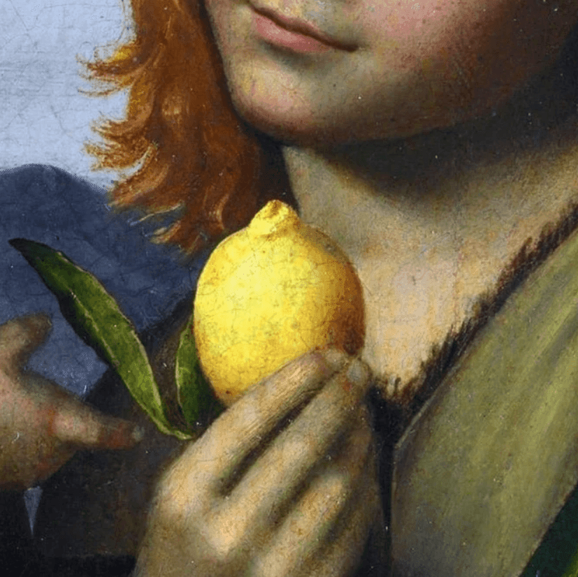 agrume toscano rinascimento corti speziali