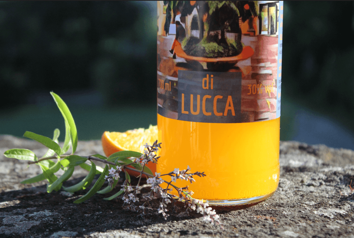 liquore agli agrumi arancello arance toscana