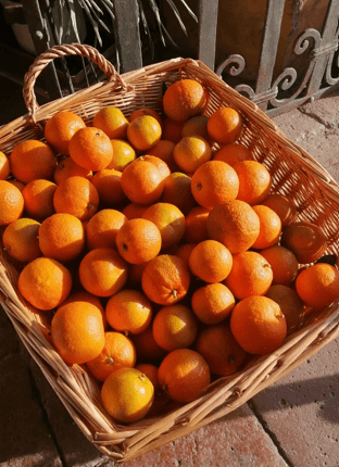 arance arancello Mr.Liquor