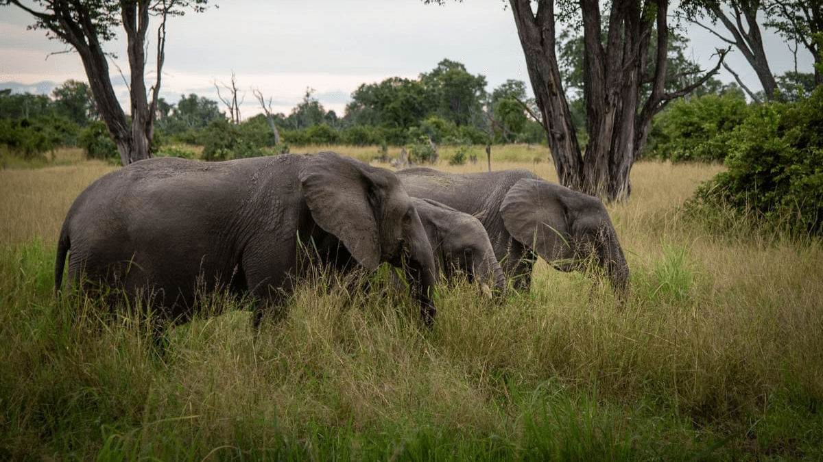 Tourism Industry Experts Showcasing Zambia’s Beauty