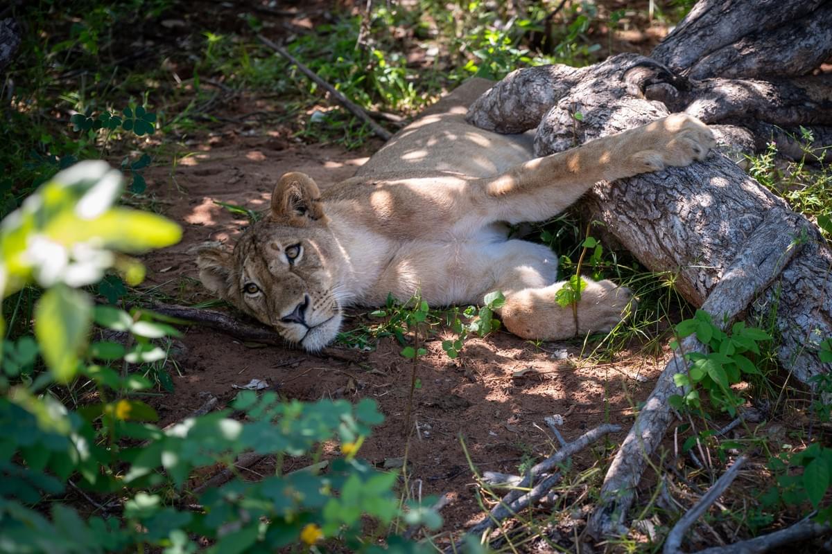 Tourism Industry Experts Showcasing Zambia’s Beauty