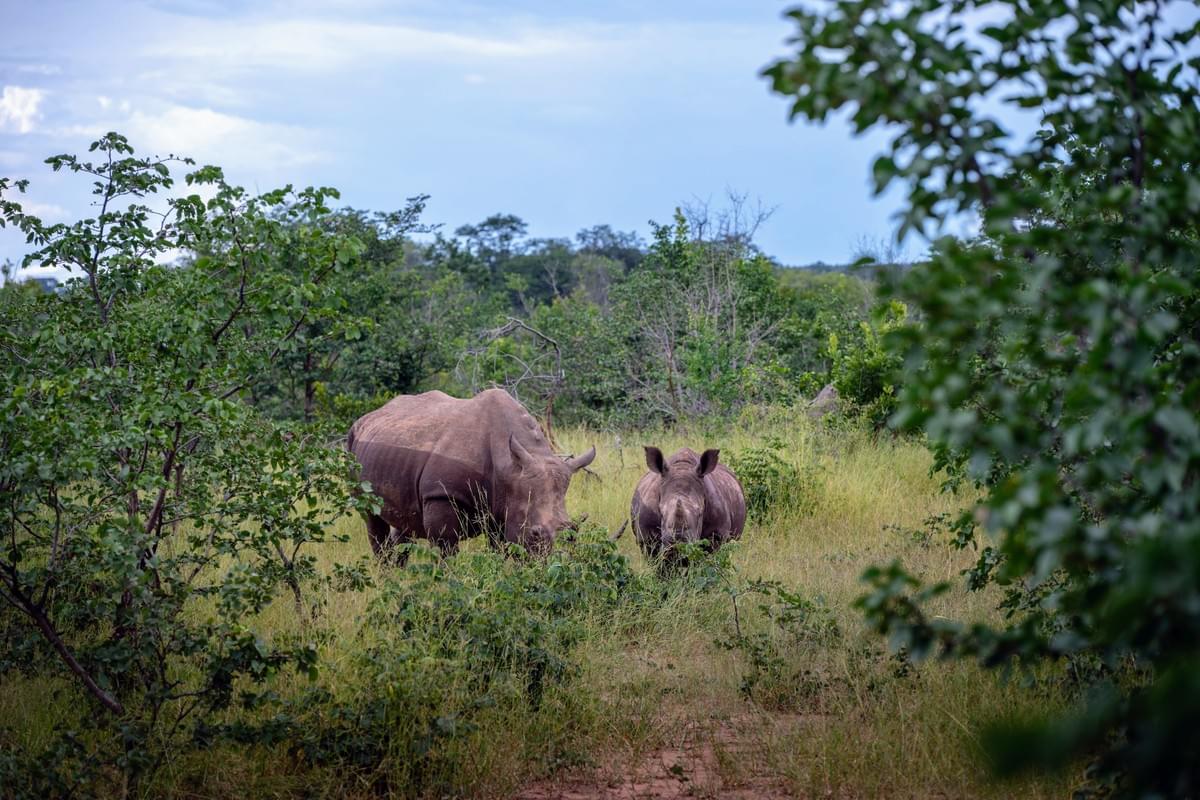 Tourism Industry Experts Showcasing Zambia’s Beauty