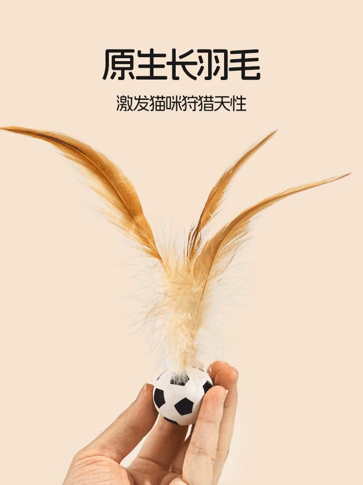逗貓棒羽毛彈力球