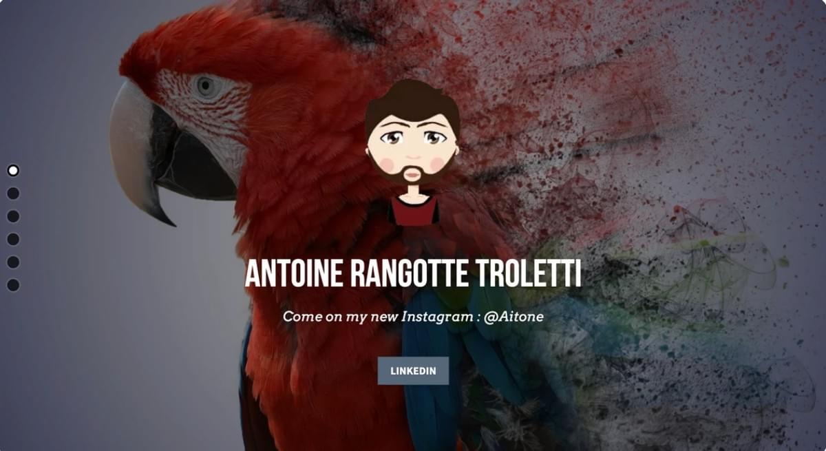 Hedendaagse kunst: Antoine Rangotte Troletti