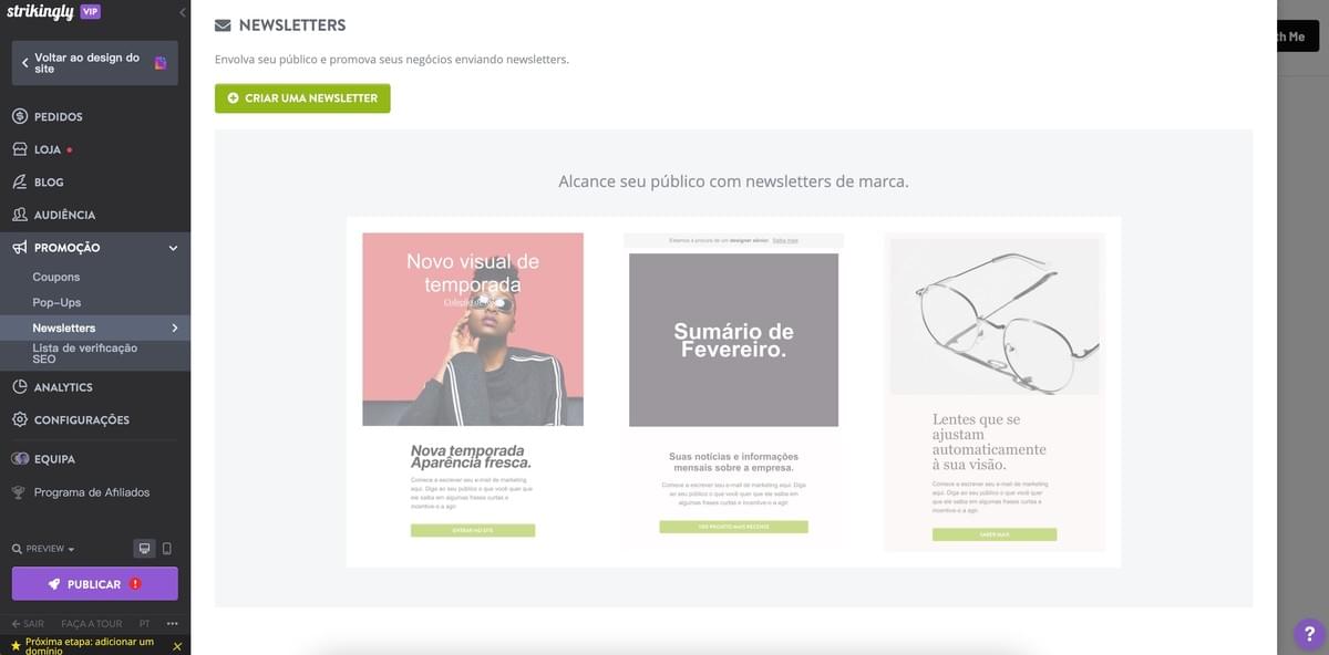 Recurso de Newsletter da Strikingly