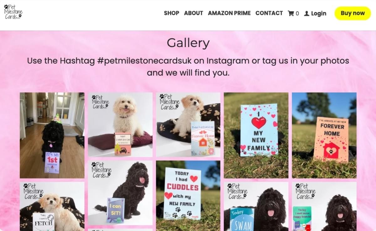 Campanha de cartões de marcos importantes para animais de estimação no Instagram
