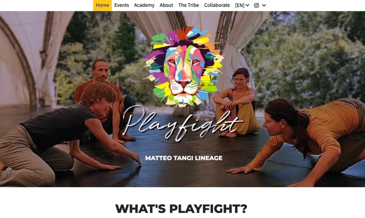 Playfight-Logo (benutzerdefiniertes Logo)
