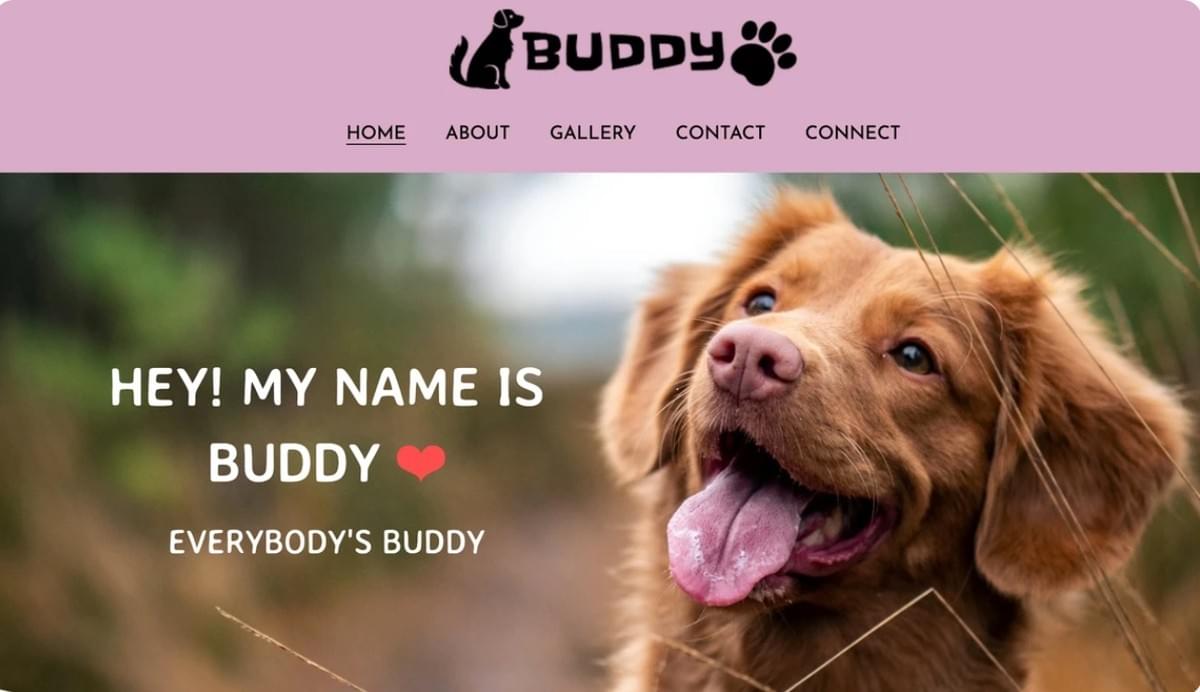 Modelo Buddy da Strikingly