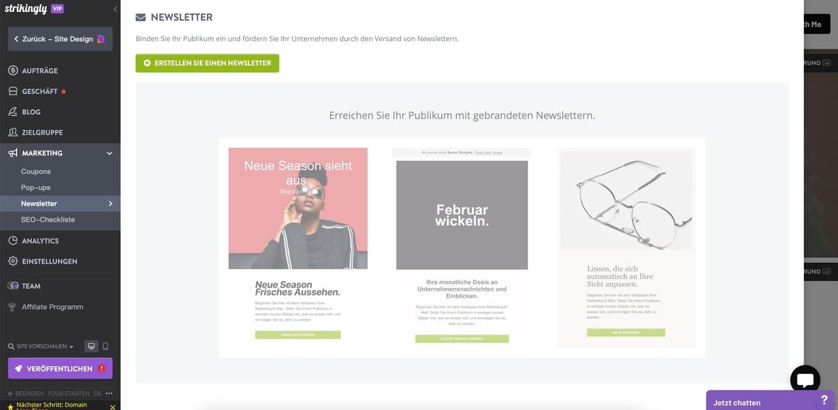 Strikingly Newsletter-Funktion