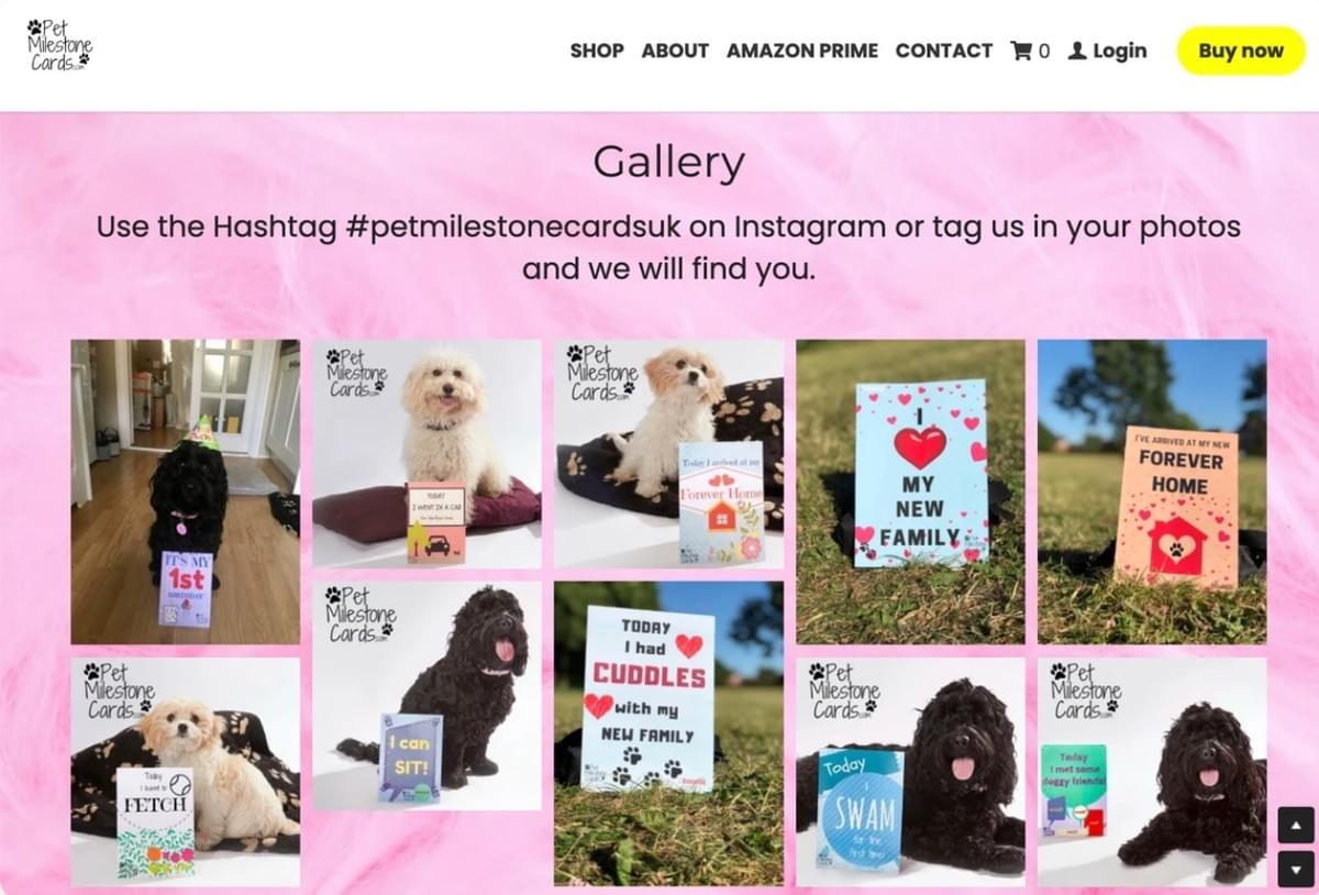 Cartões de marcos importantes para animais de estimação, estratégia de envolvimento nas redes sociais