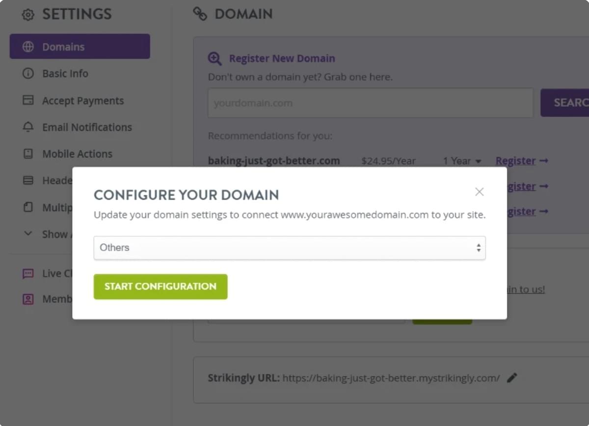 Strikingly DNS Tutorial