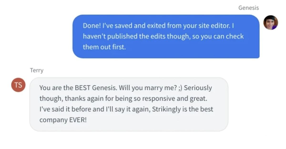 Strikingly Chat Ondersteuning