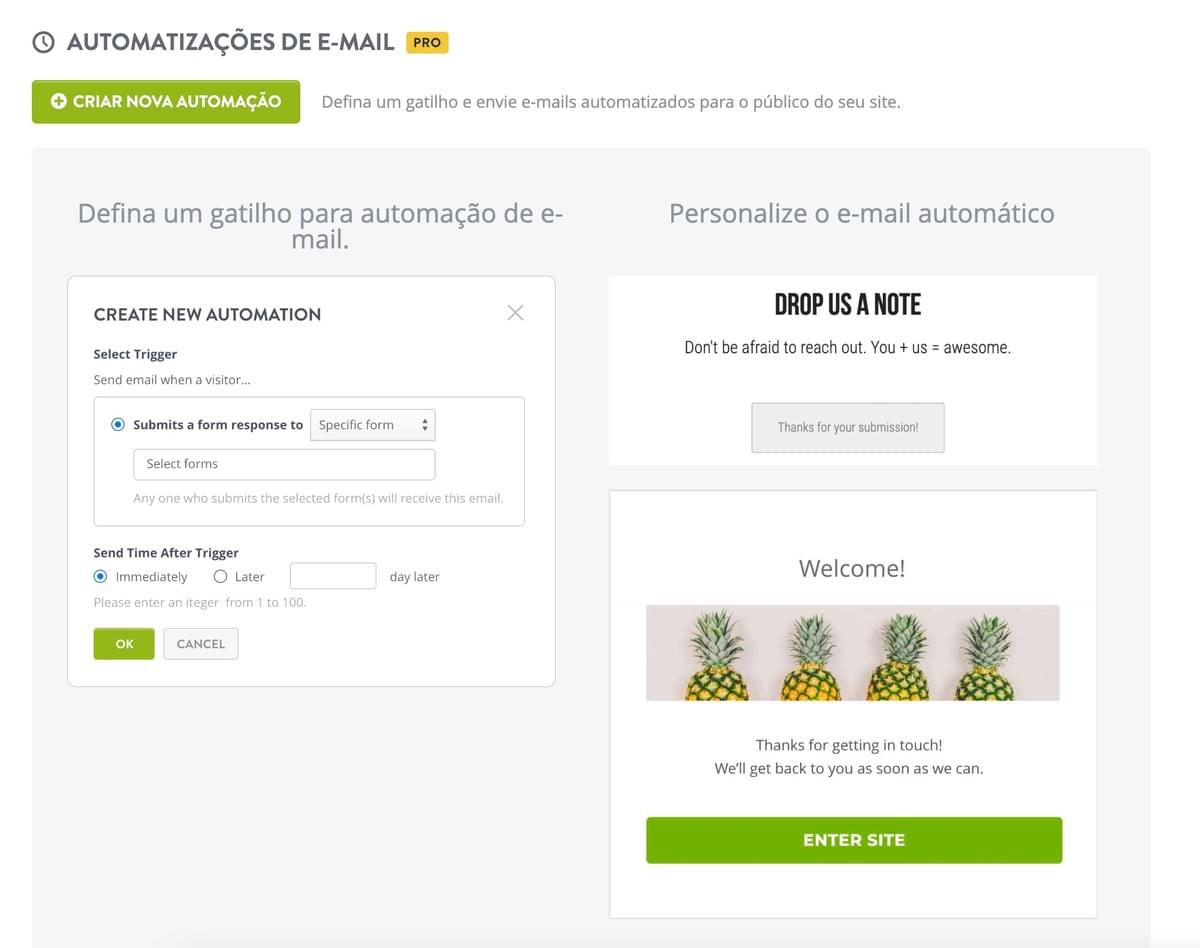 Strikingly Automatizações de E-mail Recurso