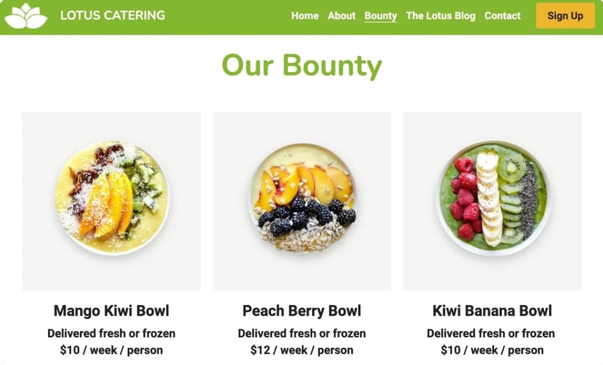 Modelo Lotus da Strikingly