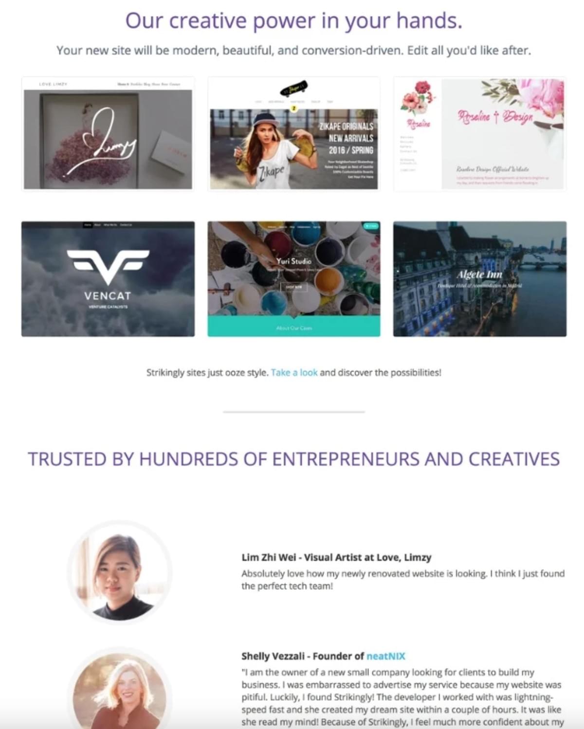 Strikingly Website Sjabloon