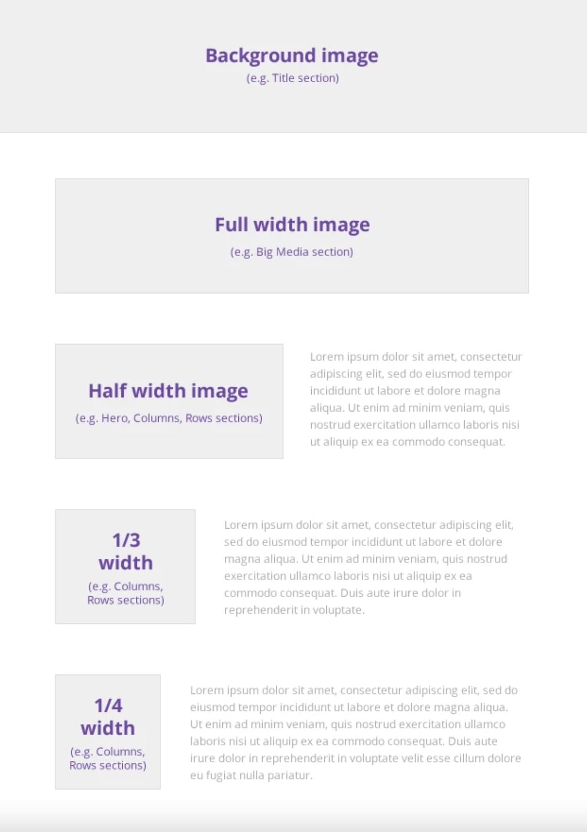 Guia de Tamanho de Imagem para o site Strikingly