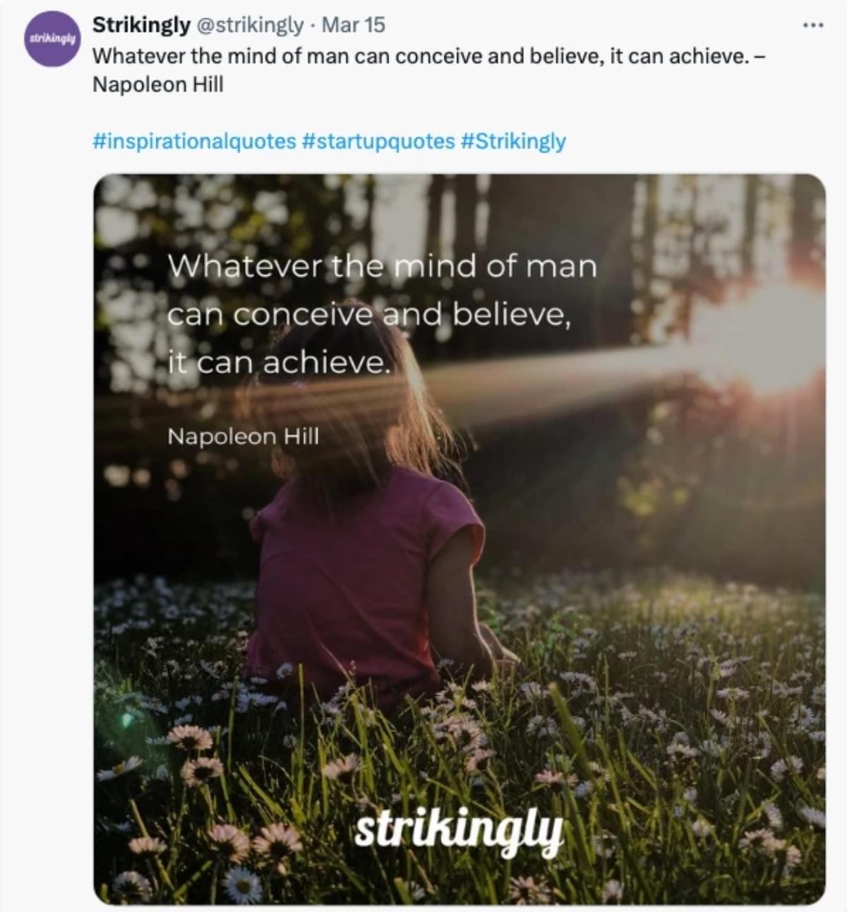 Postagem no Twitter da Strikingly