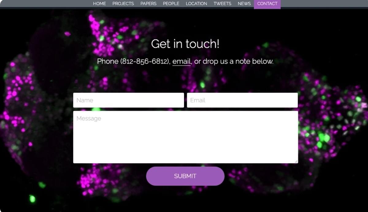 Informações práticas: relatório de vendas personalizado