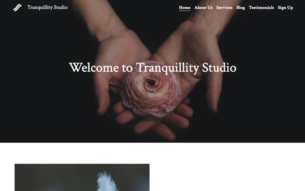 Tranquility Studio Sjabloon van Strikingly