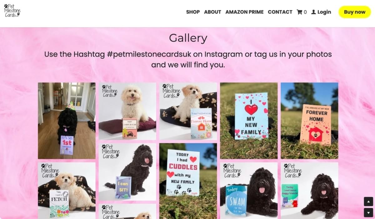 Succesvolle Voorbeelden van Social Media Campagnes