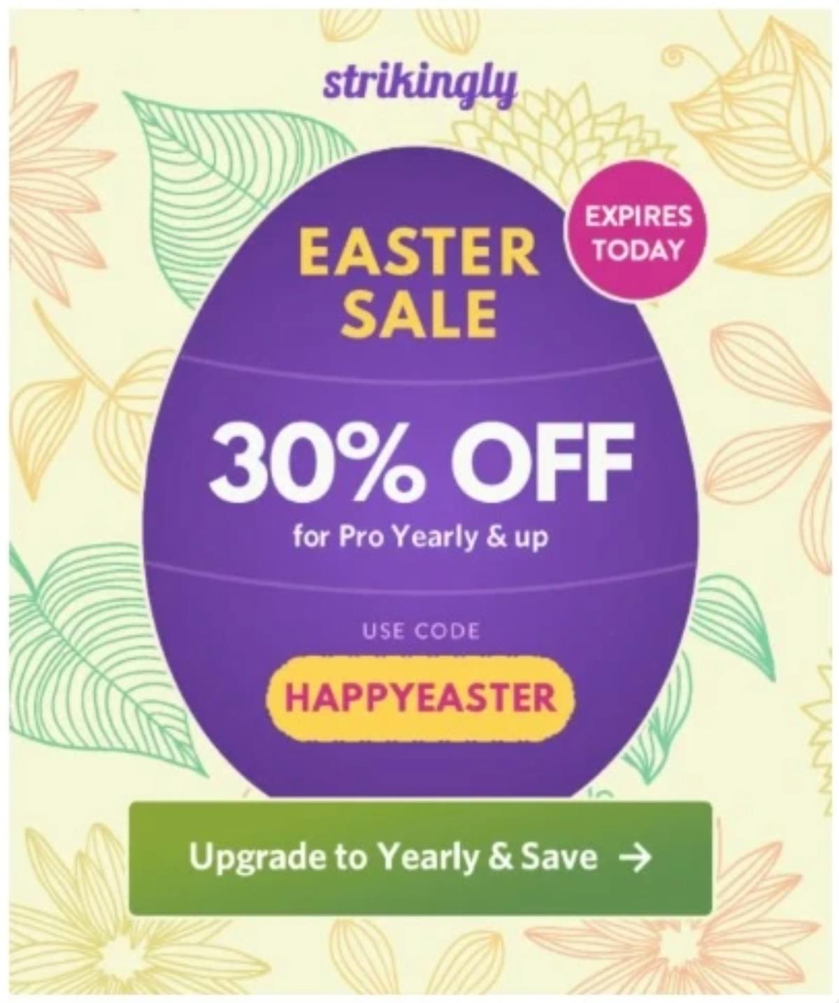 E-mail de Venda Strikingly