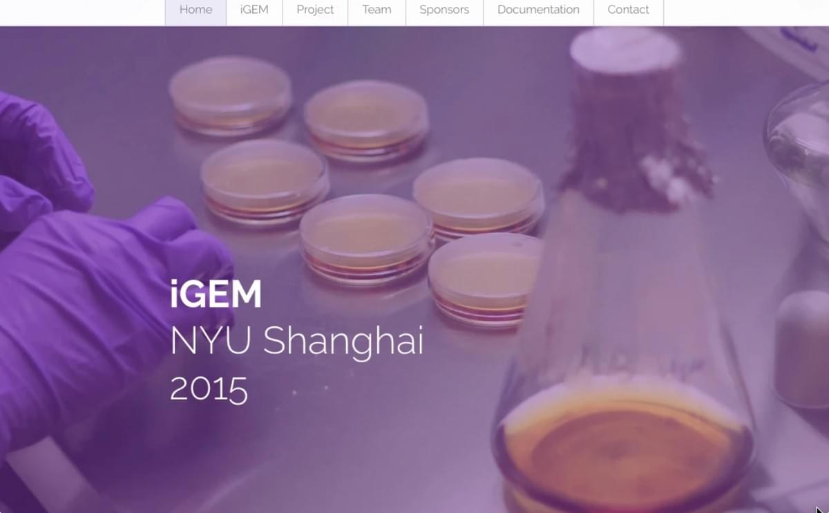IGEM NYU Shanghai internationale verkoop