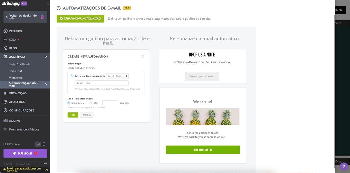 Recursos de Automação da Strikingly