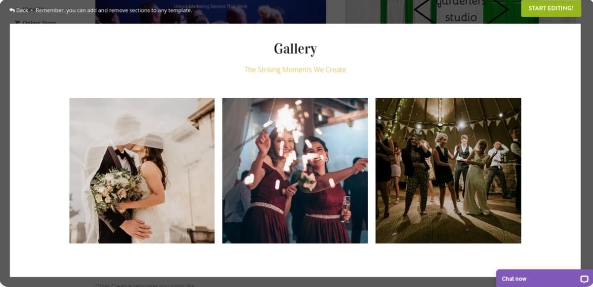 De Seguidores a Fãs: Aproveitando o Poder das Influenciadoras de Marca