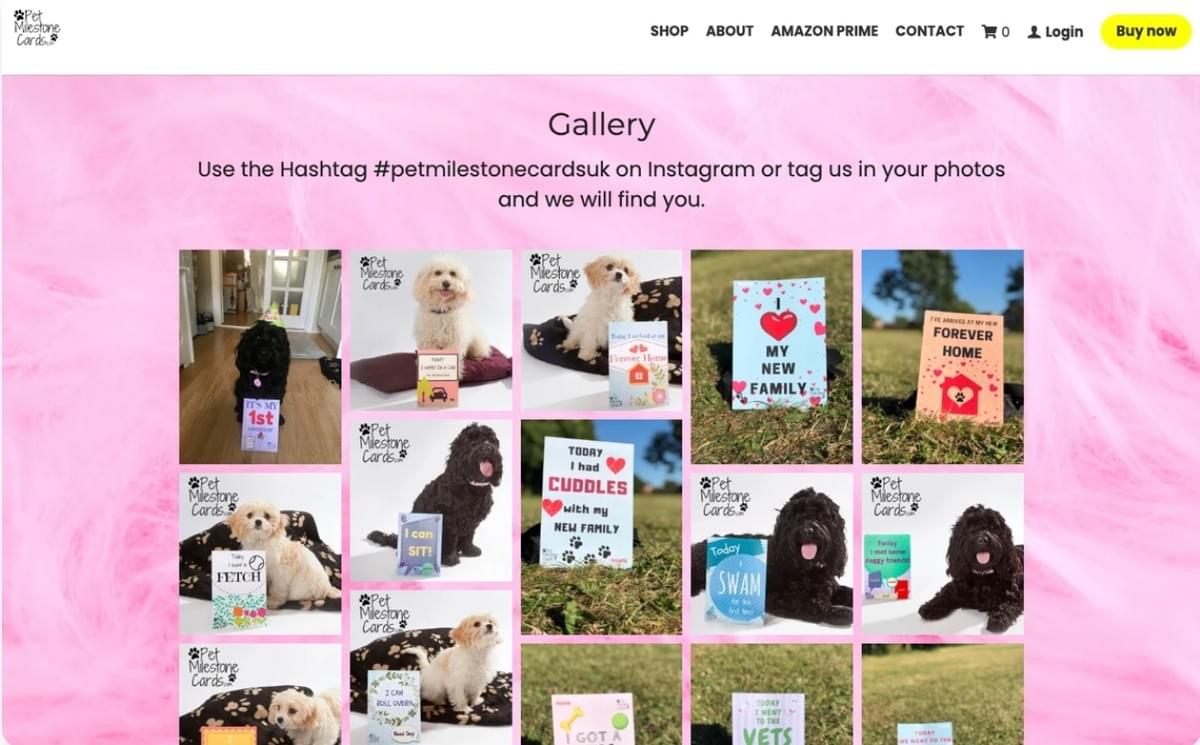 Erstellen von Instagram-Story-Anzeigen, die auffallen