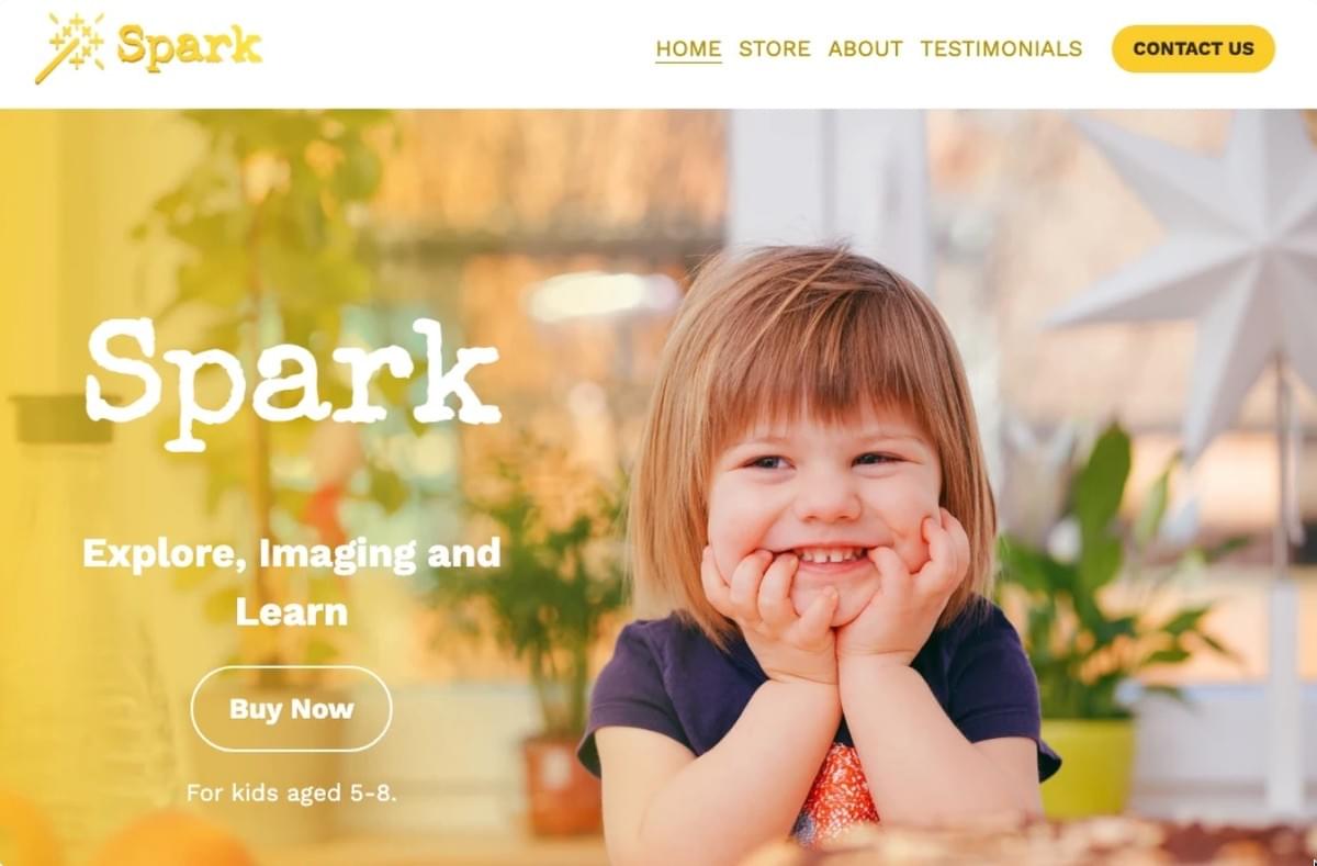 Spark Sjabloon van Strikingly