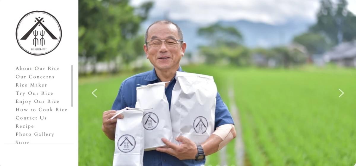 Estratégias de Publicidade Hayashida