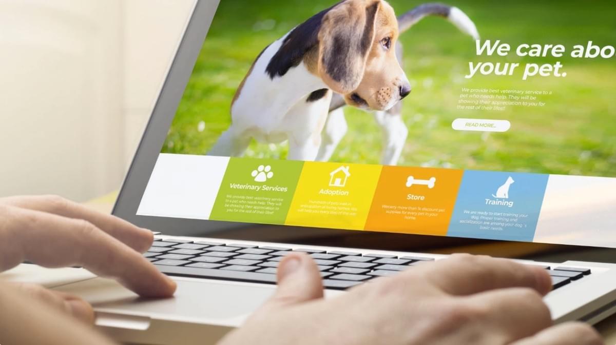 Een Succesvolle Dierenwinkel Starten met Strikingly