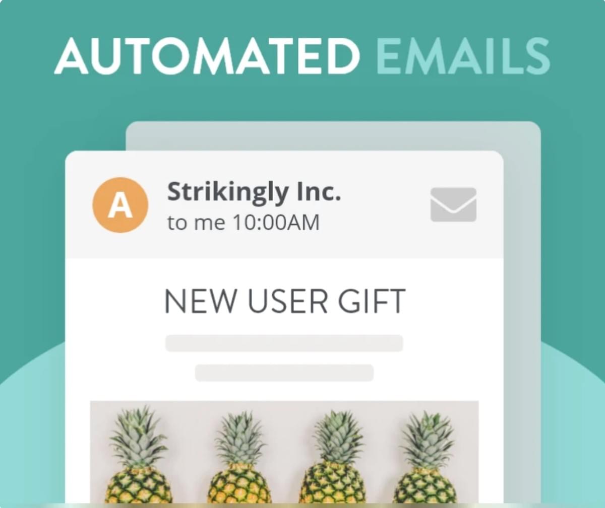 Strikingly Geautomatiseerde E-mailnieuwsbrieffunctie