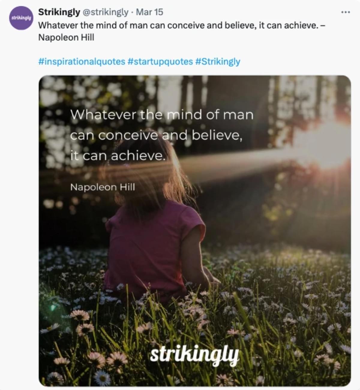 Strikingly Twitter Post