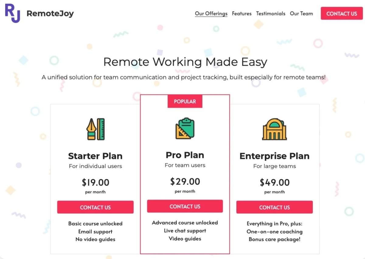 Remote Joy Vorlage von Strikingly