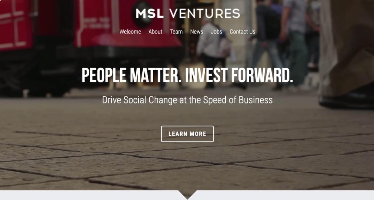 MSL Ventures Sjabloon van Strikingly