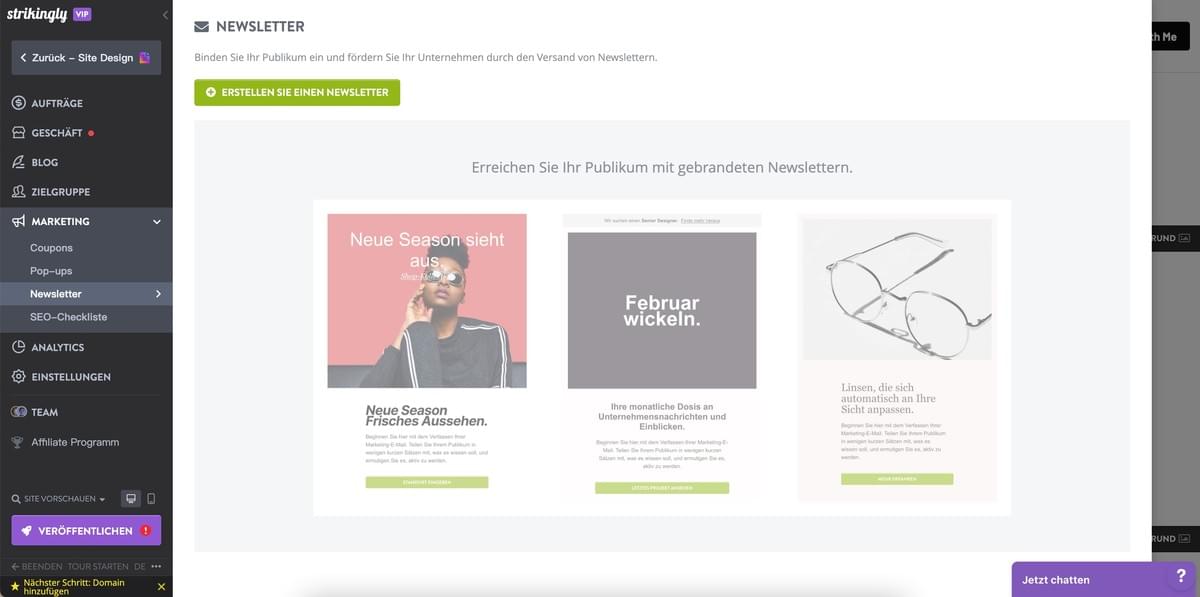 Strikingly Newsletter-Funktion