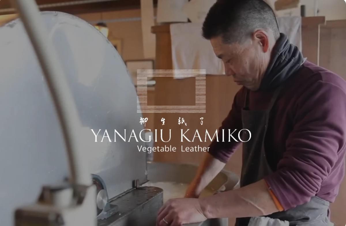 Yanagiu Kamiko Logo Design