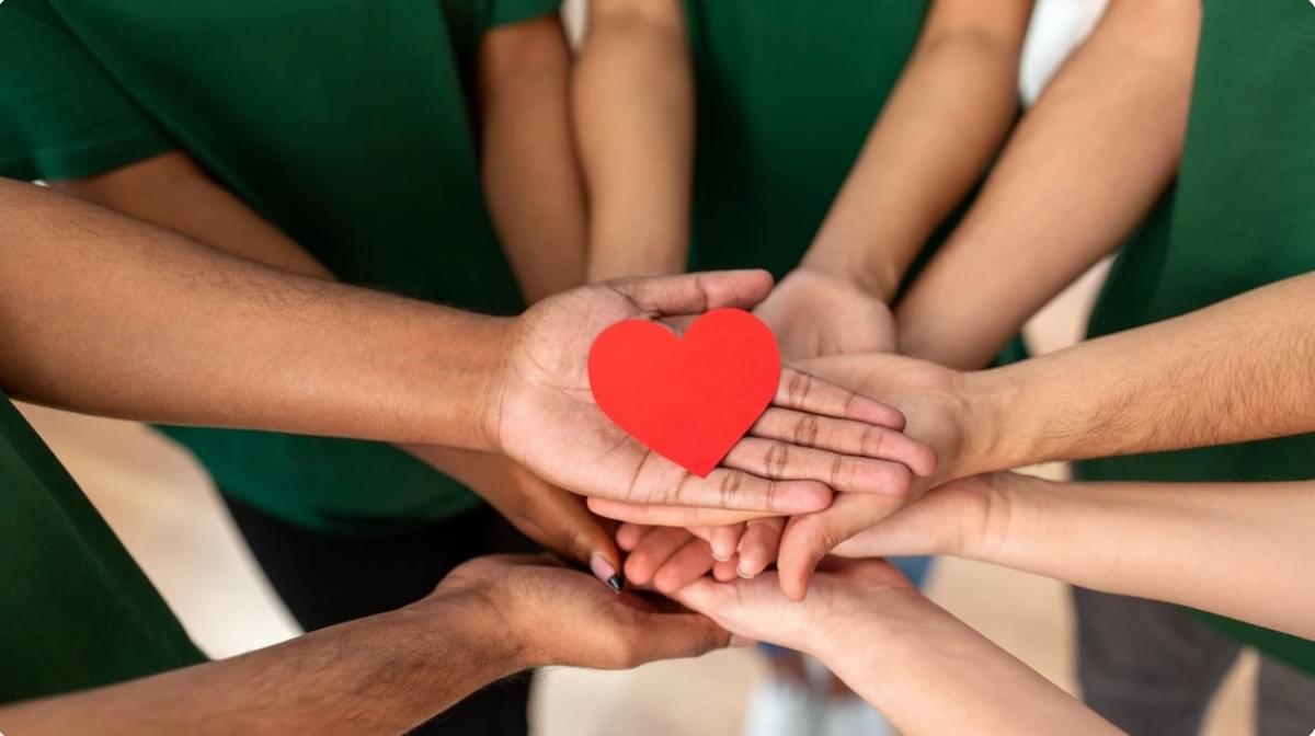 Fesseln Sie Ihre Sache: Der Strikingly-Leitfaden zur Erstellung Ihrer Non-Profit-Website