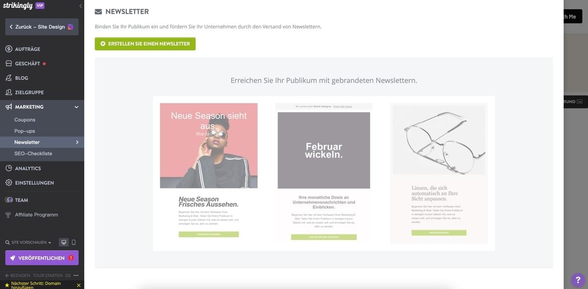 Strikingly Newsletter