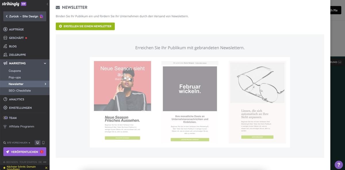 Strikingly Newsletter