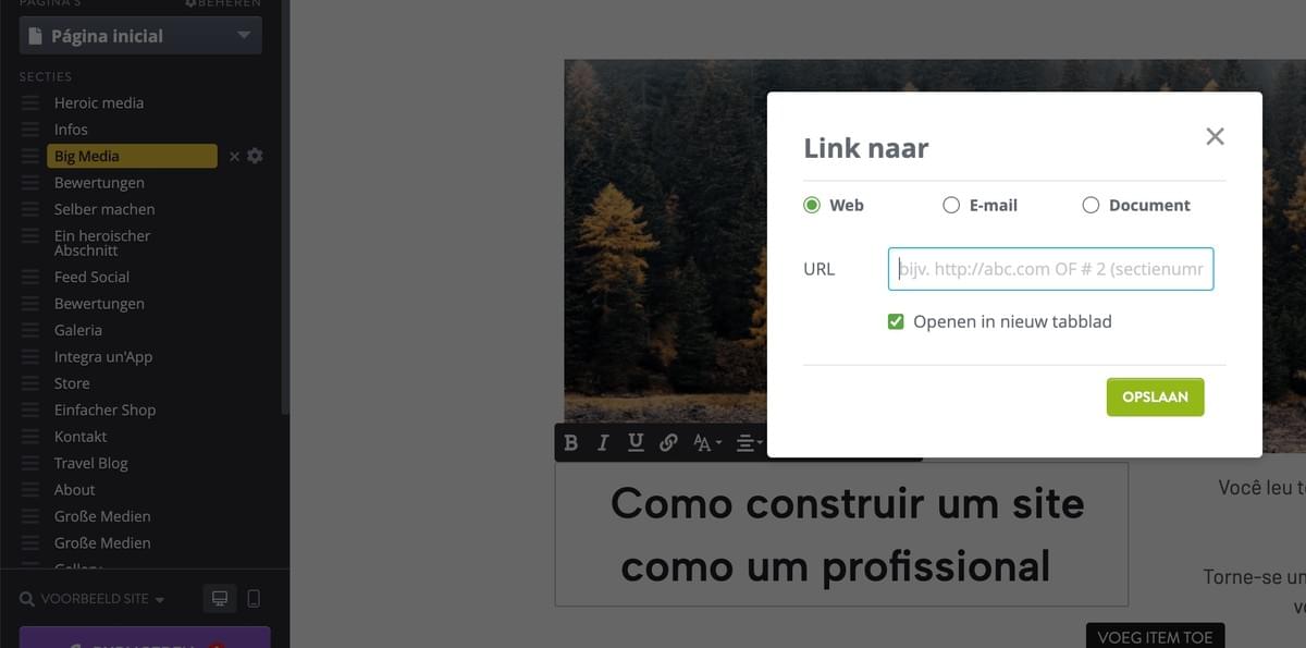 Strikingly Ankerlink Functie
