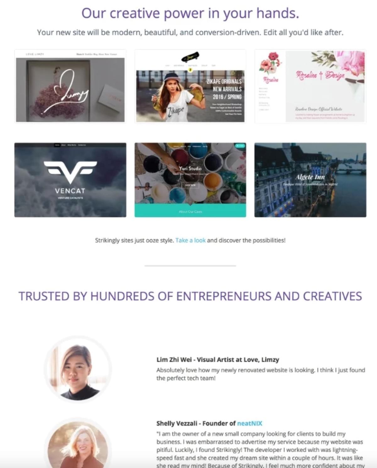 Strikingly Website-Vorlage