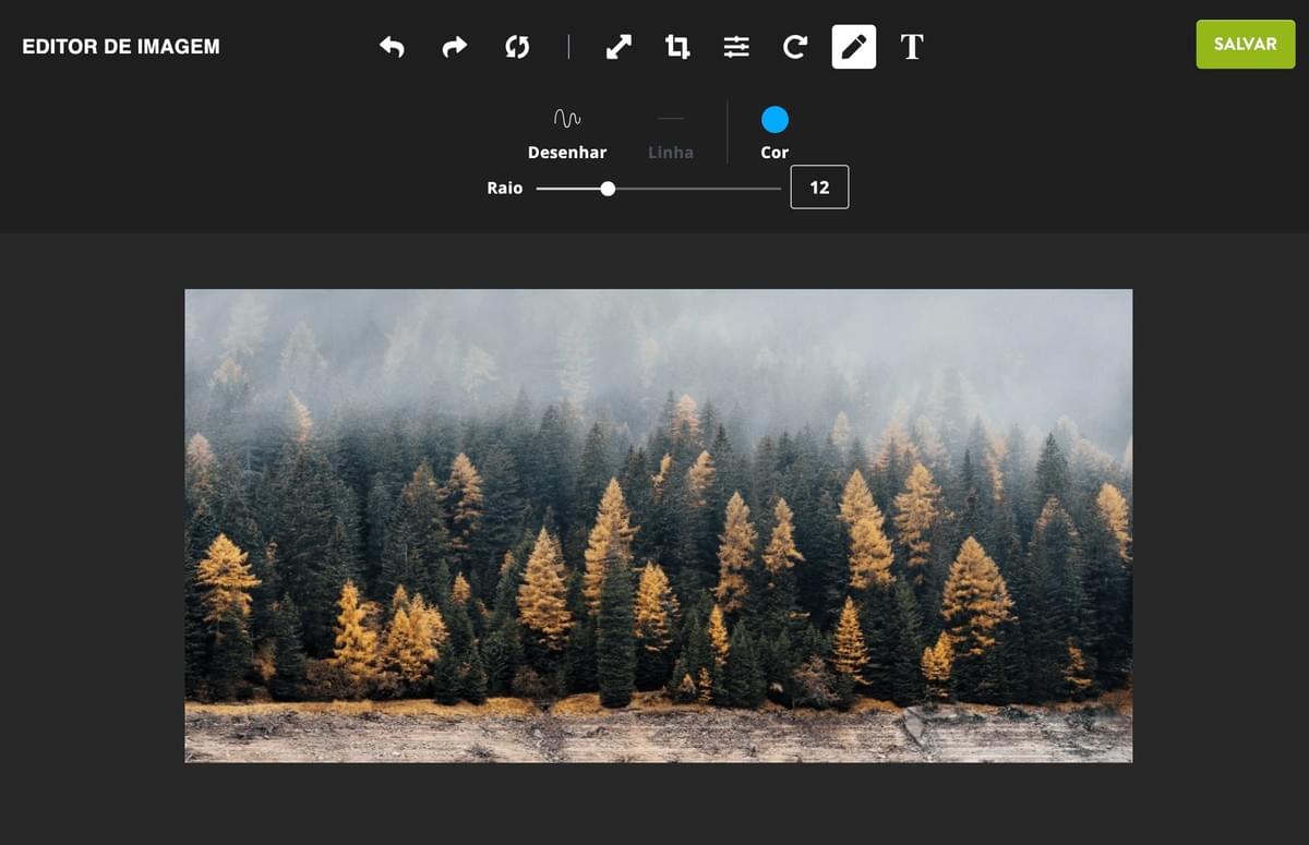 Editor de Fotos Strikingly