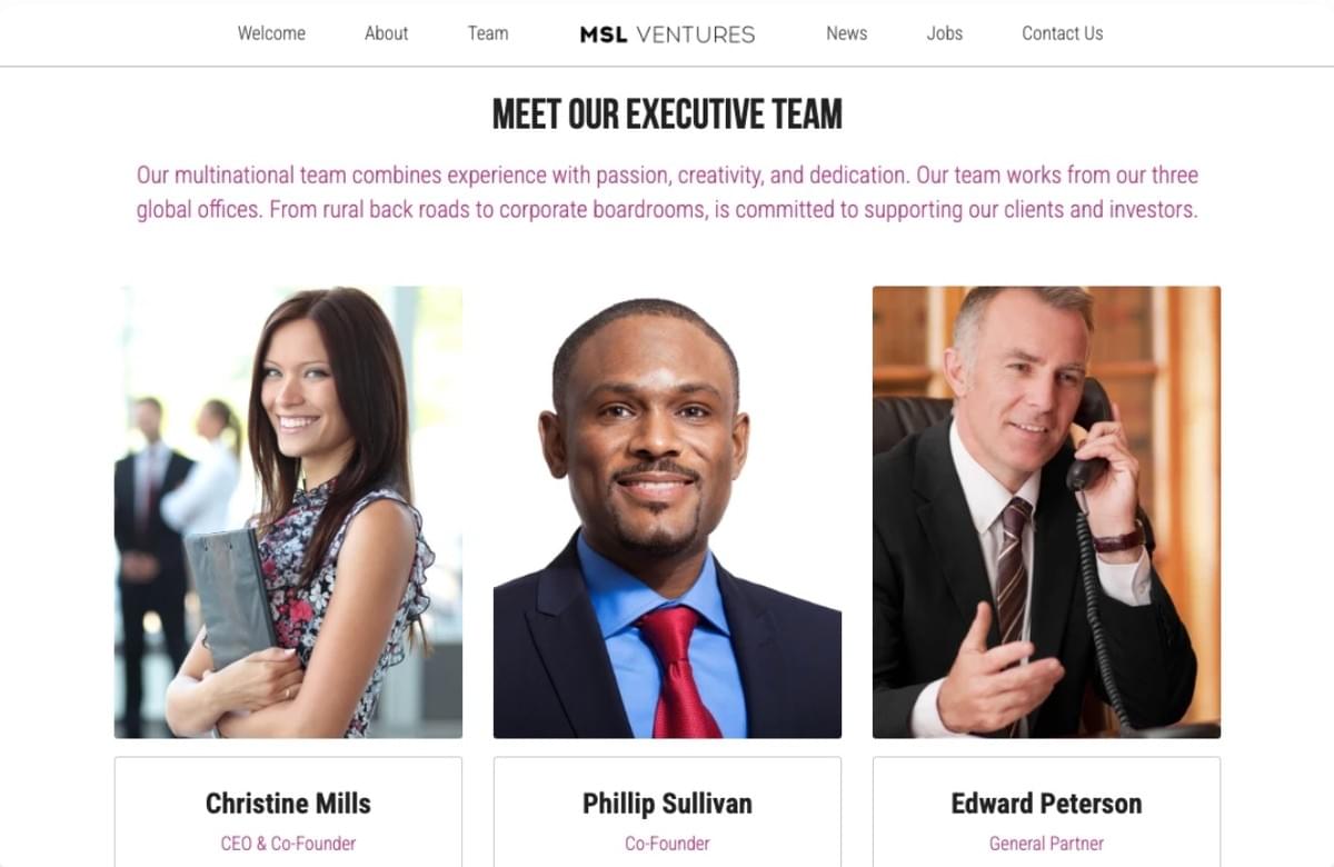 MSL Ventures Sjabloon van Strikingly