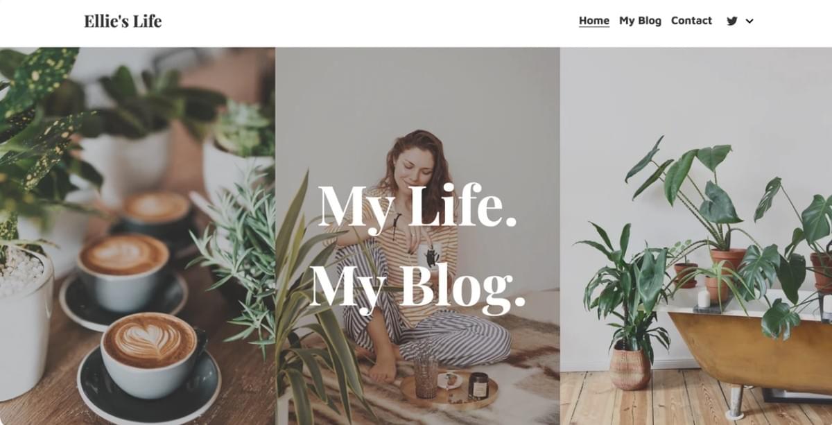 Modelo de Blog de Moda da Strikingly